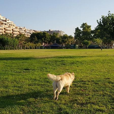 Primera Linea Acapulco III Оропеса-дель-Мар Экстерьер фото
